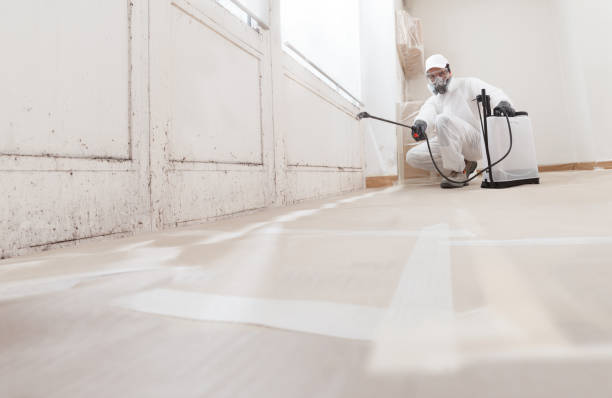 24/7 Emergency Attic Mold Removal experts in Altoona, PA